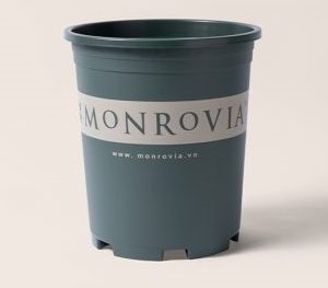 Chậu trồng cây Monrovia O-series